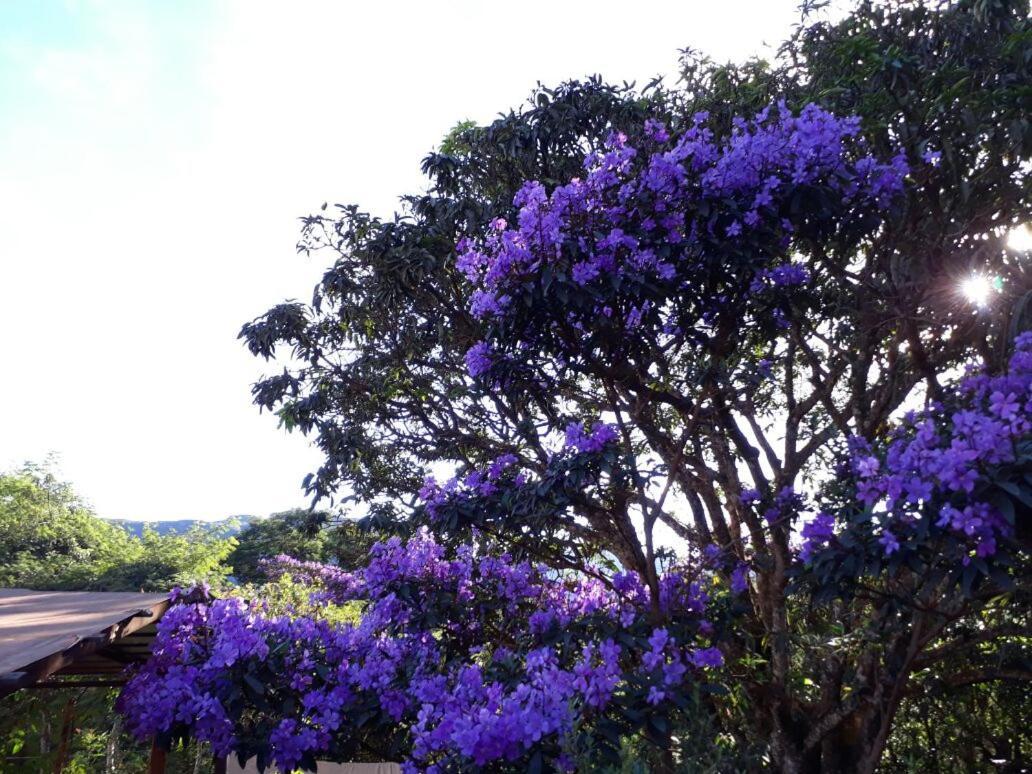 Do Alto Da Montanha Pousada Vale do Capao Ngoại thất bức ảnh