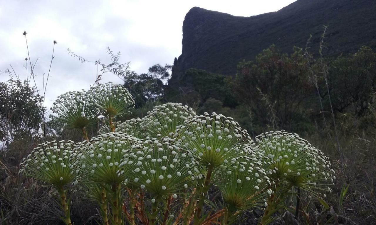 Do Alto Da Montanha Pousada Vale do Capao Ngoại thất bức ảnh
